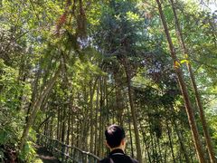-龙湾潭国家森林公园