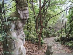 -南山植物园