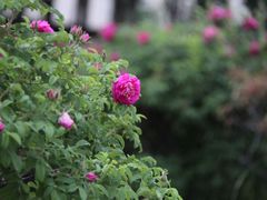 -辽宁大学(崇山校区)