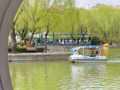 -团结湖公园