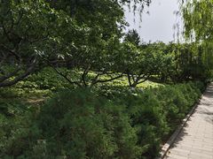 -元大都城垣遗址公园