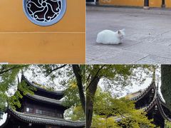 -西园戒幢律寺