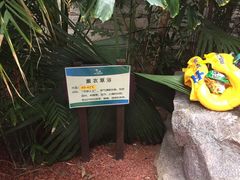 -龙达温泉生态城