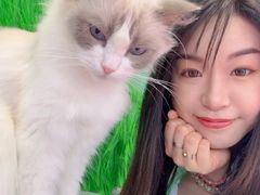 -PO PARK东方宝泰
