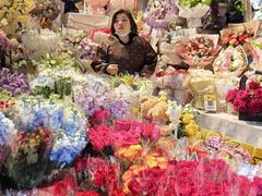 -循礼门鲜花花市(武汉循礼门店)