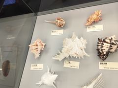 -天津古林古海岸遗迹博物馆