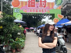 -细村农贸综合市场