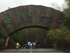 -镇江市南山风景名胜区竹林景区