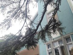 -公主楼