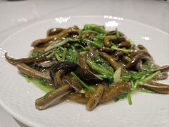 -乔家栅(襄阳南路店)