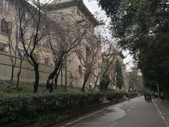-武汉大学-樱园