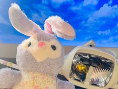 -钜成口腔(师范大学一部店)