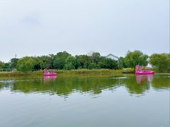 -上海长兴岛郊野公园