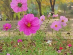 -长江文明馆