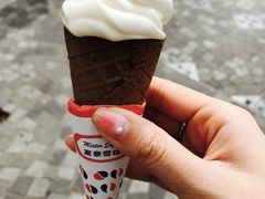 -富豪雪糕车流动点(尖沙咀店)