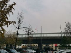 -恒幸动物医院·急重症转诊中心·神经内外科·CT核磁