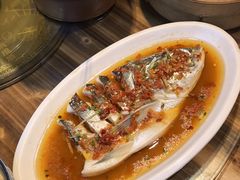 -印象鲵宴·张家界地标美食名片(溪布街店)