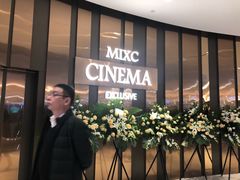 -万象影城(石家庄万象城IMAX激光店)