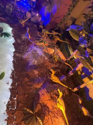 -恐龙探索乐园(磁器口店)