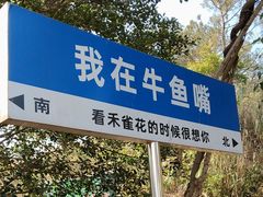 -牛鱼嘴原始生态风景区