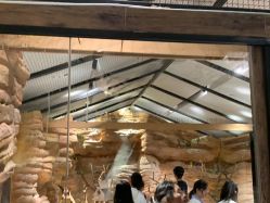 -造物庄园 萌宠纪(苏州湾歌林公园店)