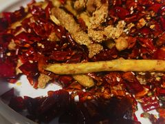 -付掌柜在成都·热炒砂锅集(金禾店)