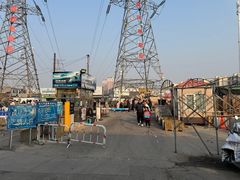 -中环花鸟鱼虫市场