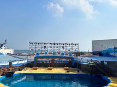 -海合安青岛极地海洋公园