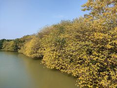 -海珠湖公园