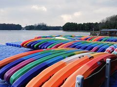 -上海海湾国家森林公园