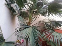 -稻香湖景酒店