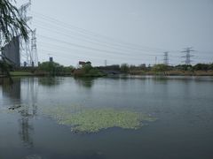 -九里河湿地公园