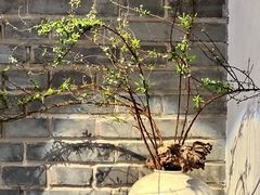 -曲廊院(东四十一条店)