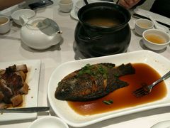 -同乐轩港式早茶