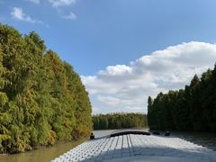 -上海海湾国家森林公园