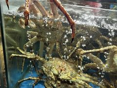 -蟹之国·精品蟹料理(极地店)