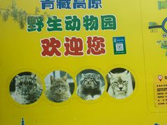 -青藏高原野生动物园