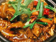 羊腩煲-金龙·打边炉(武进路店)