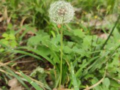 -杭州小笼包(地质大学店)