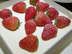 -黑土印象菜馆(三元桥店)