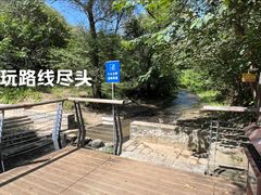 -白水寺森林公园