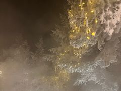 -汉拿山温泉度假酒店