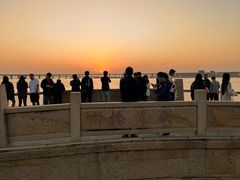 -宝安西湾红树林湿地公园