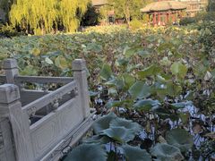 -莲池书院博物馆