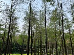 -晓港公园
