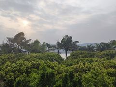-湖泉半山温泉