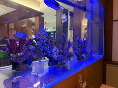 -水之惠鲜鱼料理(王府大街店)