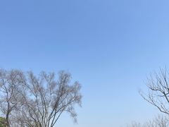 -嘉北郊野公园