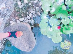 -苏州河梦清园环保主题公园