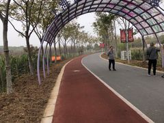 -上海长兴岛郊野公园